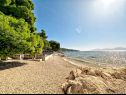 Ferienwohnungen Mira - 10 m from beach: SA3(2), SA4(2), A5(2+2) Zaostrog - Riviera Makarska  - Strand