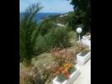 Ferienwohnungen Đuro - panoramic sea view: A3(3+1), A5(5) Stanici - Riviera Omis  - Meerblick (Objekt und Umgebung)