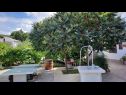 Ferienwohnungen Ankica - pool & garden A1(9), A2(8) Kampor - Insel Rab  - Hof