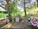 Ferienhaus Brane - relaxing in nature: H(9) Zaton (Sibenik) - Riviera Sibenik  - Kroatien - Garten
