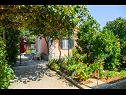 Ferienhaus Mirjana - beautiful garden with barbecue: H(4+1) Trogir - Riviera Trogir  - Kroatien - Garten