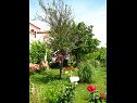 Ferienwohnungen Nika - nice garden: A1(2), A2(4+1), A3(6), A4(2) Nin - Riviera Zadar  - Garten (Objekt und Umgebung)