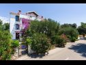 Ferienwohnungen Pupa - nice family apartments: A1 Dora(4+1), A2 Mihael(4+1), A3 Tea(2+1) Petrcane - Riviera Zadar  - Haus