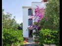 Ferienwohnungen Pupa - nice family apartments: A1 Dora(4+1), A2 Mihael(4+1), A3 Tea(2+1) Petrcane - Riviera Zadar  - Haus