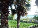 Ferienwohnungen Teo - 8m from the sea & parking: A1 žuti(4), A2 bijeli(4), A3 novi(4) Privlaka - Riviera Zadar  - 