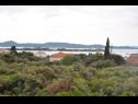 Ferienwohnungen Martina - 300 m from sea: A1(2+2), A2(2+2) Sukosan - Riviera Zadar  - Vegetation (Objekt und Umgebung)