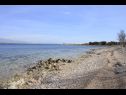 Ferienwohnungen Rising Sun A1(2+2), A2(2+2), A3(2+2) Vir - Riviera Zadar  - Strand