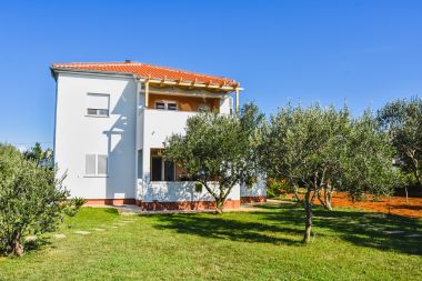 Ferienwohnungen FRANE - family apartment A1 prizemlje(4+1), A2 kat(4+1) Zaton (Zadar) - Riviera Zadar 